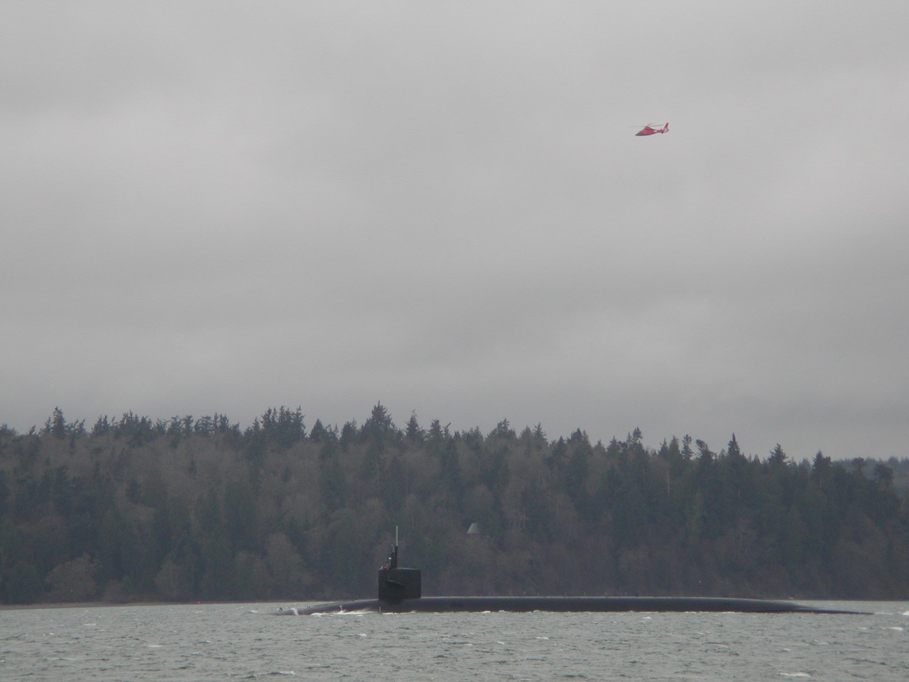 Click for Full Image/#50/DSCN9800.jpg